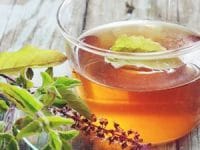 Tulsi Tea