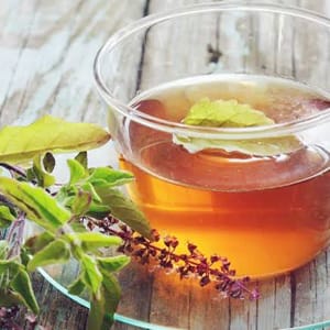 Tulsi Tea